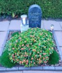 ein Bild aus dem Album