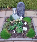 ein Bild aus dem Album